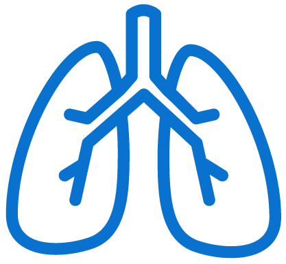 Anatomy and Physiology | eScience Labs